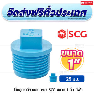 ปลั๊กอุดเกลียวนอก PVC หนา SCG ขนาด 1 นิ้ว สีฟ้า