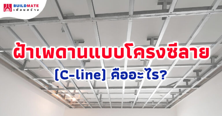 ฝ้าเพดานแบบโครงซีลาย (C-line) คืออะไร