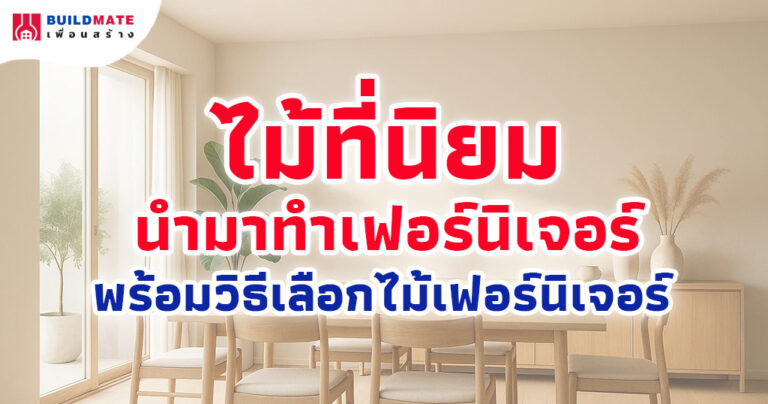 ไม้ที่นิยมนำมาทำเฟอร์นิเจอร์ พร้อมวิธีเลือกไม้เฟอร์นิเจอร์