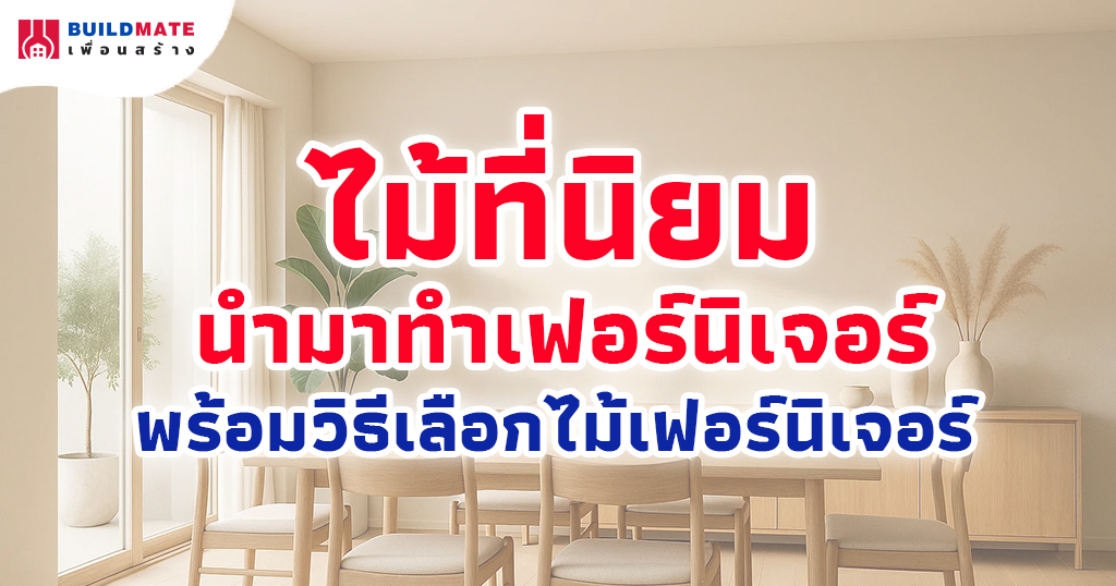 ไม้ที่นิยมนำมาทำเฟอร์นิเจอร์ พร้อมวิธีเลือกไม้เฟอร์นิเจอร์