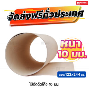 ไม้อัดดัดโค้ง หนา 10 มม. ขนาด 122 x 244 ซม.