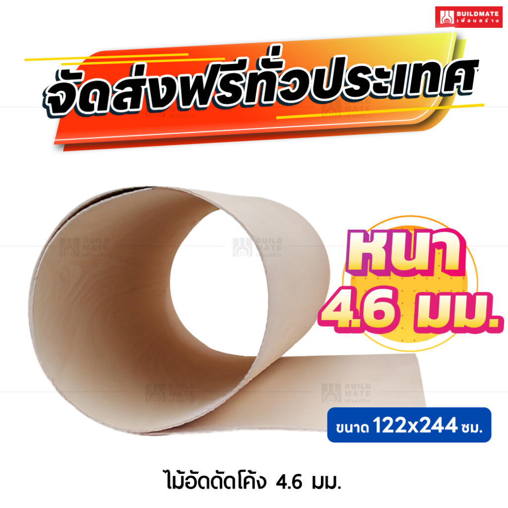 ไม้อัดดัดโค้ง หนา 4.6 มม. ขนาด 122 x 244 ซม.
