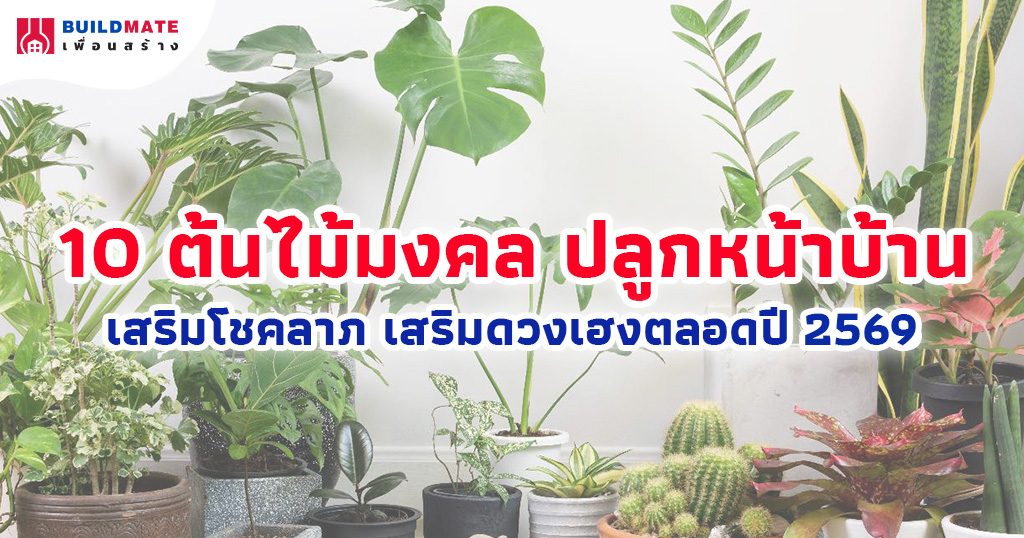 ปกบทความ 10 ต้นไม้มงคล ปลูกหน้าบ้าน ปี 2569