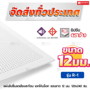 แผ่นยิปซั่มลดเสียงสะท้อน เอคโค่บล็อค R-1 ขอบลาด 12 มม. ขนาด 120x240 ซม. ตราช้าง