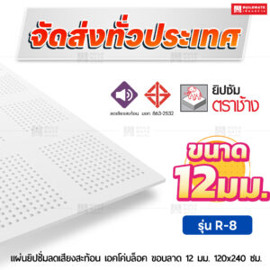 แผ่นยิปซั่มลดเสียงสะท้อน เอคโค่บล็อค R-8 ขอบลาด 12 มม. ขนาด 120x240 ซม. ตราช้าง