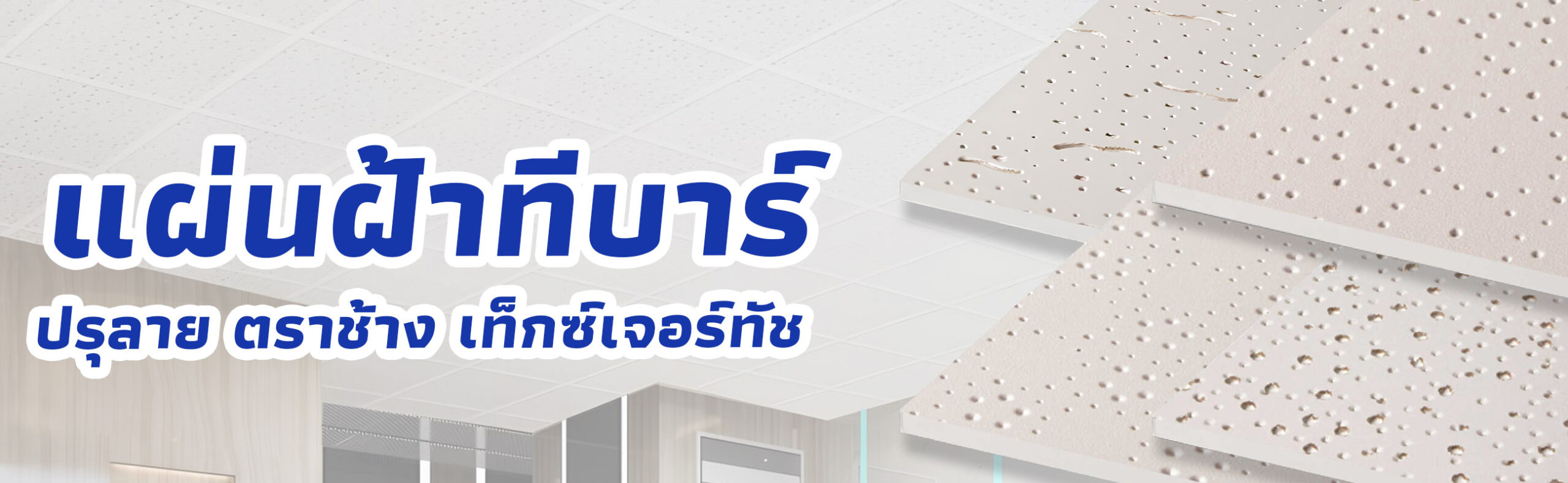 แผ่นยิปซั่มมาตรฐาน แผ่นยิปซั่มธรรมดา ตราช้าง ราคาถูก คุณภาพดี