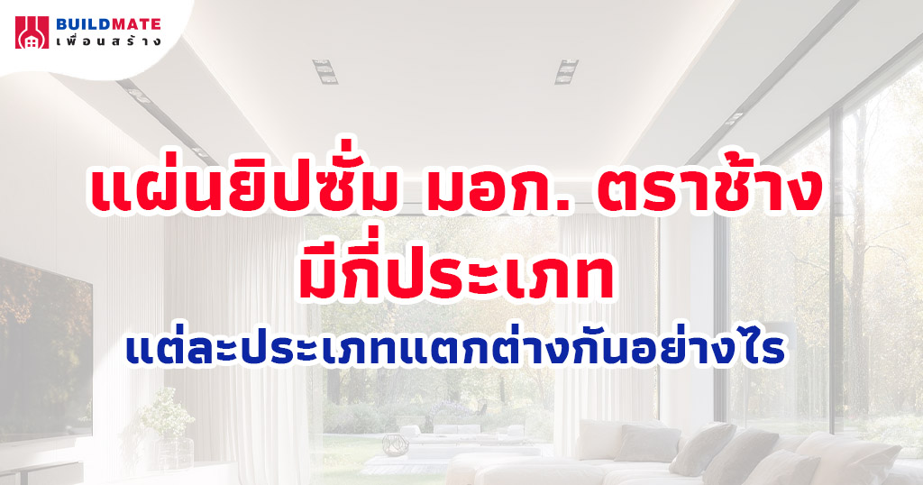 ปกบทความ-แผ่นยิปซั่ม มอก. ตราช้าง มีกี่ประเภท แต่ละประเภทแตกต่างกันอย่างไร