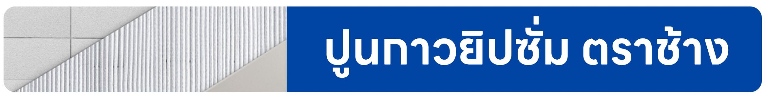 ปกรอง ปูนกาวยิปซั่ม ตราช้าง