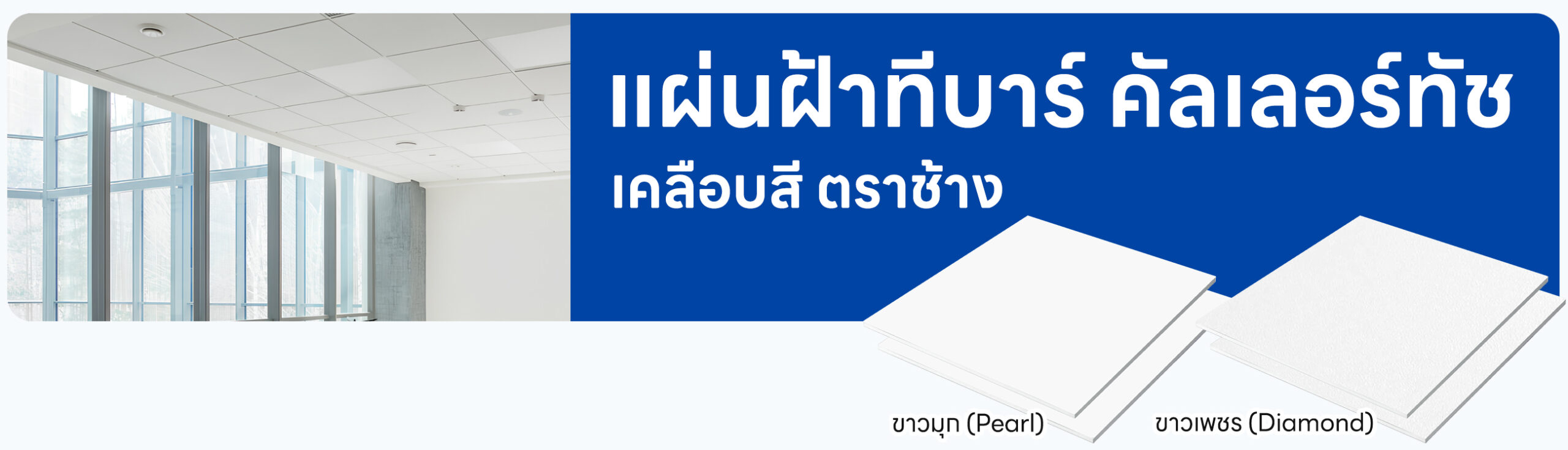 ปกรอง แผ่นฝ้าทีบาร์คัลเลอร์ทัช ตราช้าง (เคลือบสี)