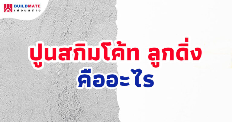 ปกบทความ-สกิมโค้ท ลูกดิ่ง