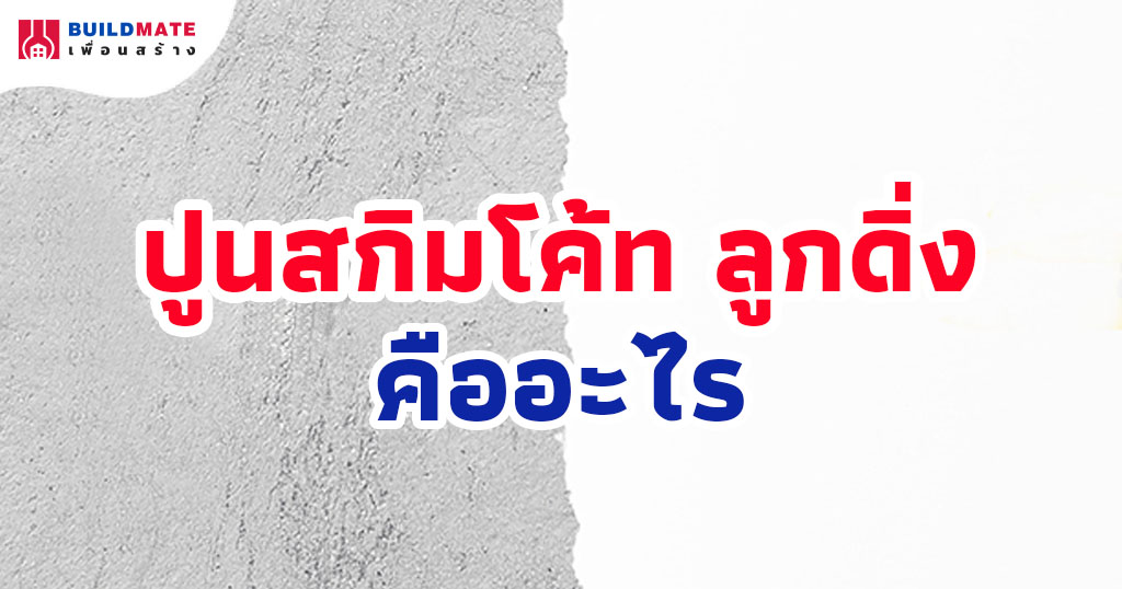 ปกบทความ-สกิมโค้ท ลูกดิ่ง