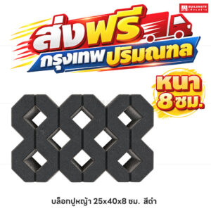 บล็อกปูหญ้า สีดำ ขนาด 40 x 25 ซม. หนา 8 ซม.