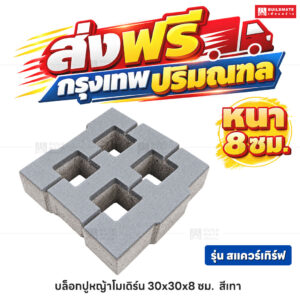 บล็อกปูหญ้าโมเดิร์น รุ่น สแควร์เทิร์ฟ สีเทา ขนาด 30 x 30 ซม. หนา 8 ซม.